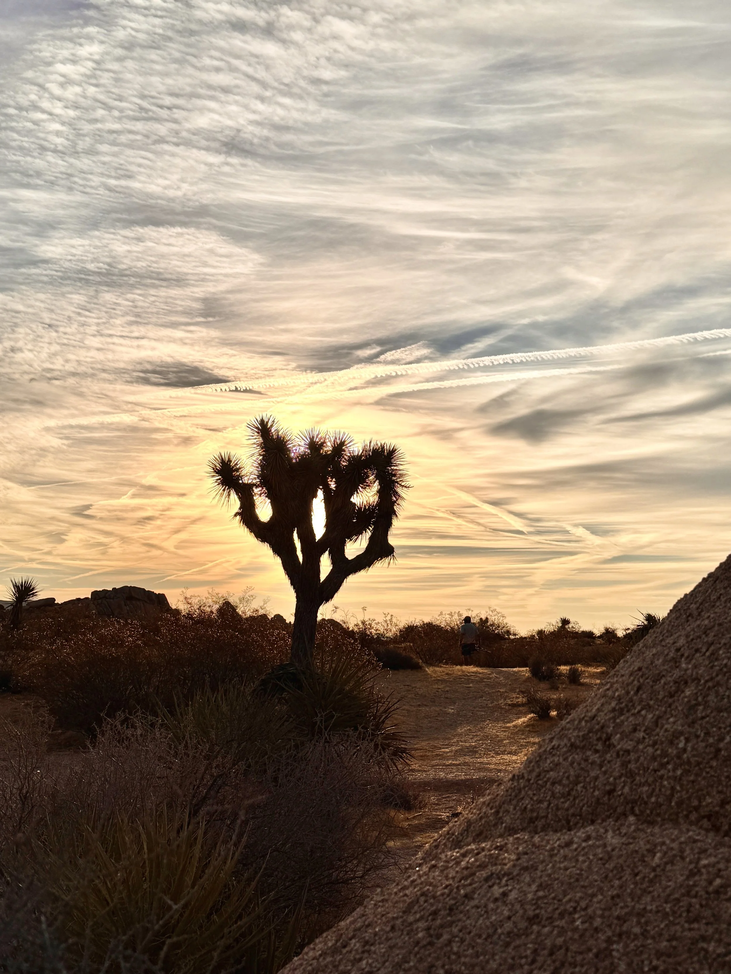 Three Days Later...Back to Camping at Joshua Tree