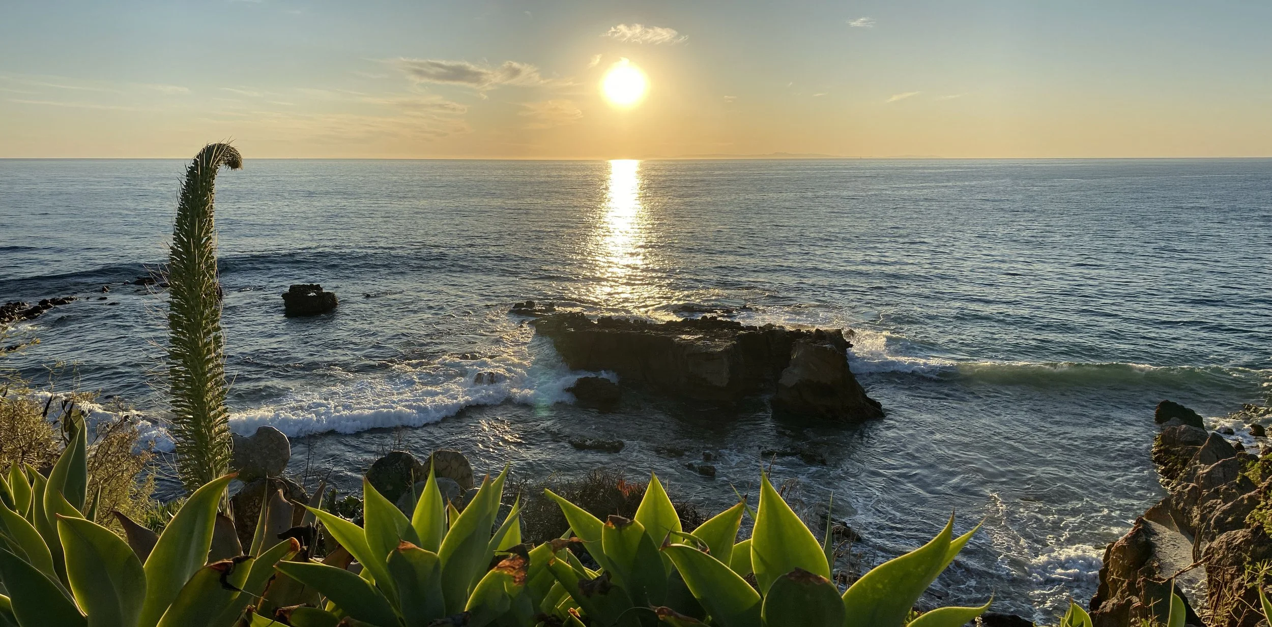 Sunset over the ocean with rocky shoreline, green succulent plants in the foreground, and a clear sky with a few clouds.