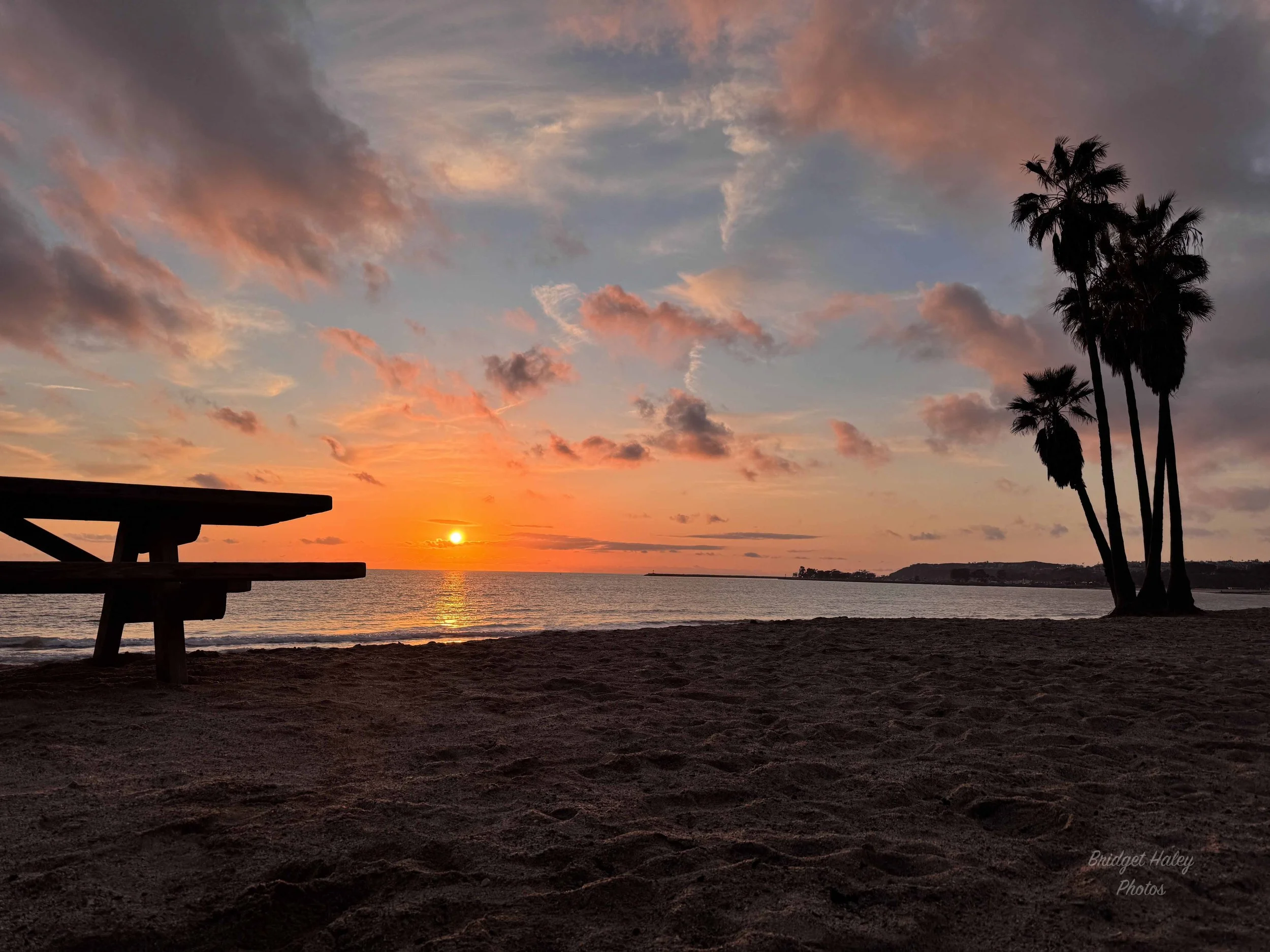 Hole In The FenceW.jpg