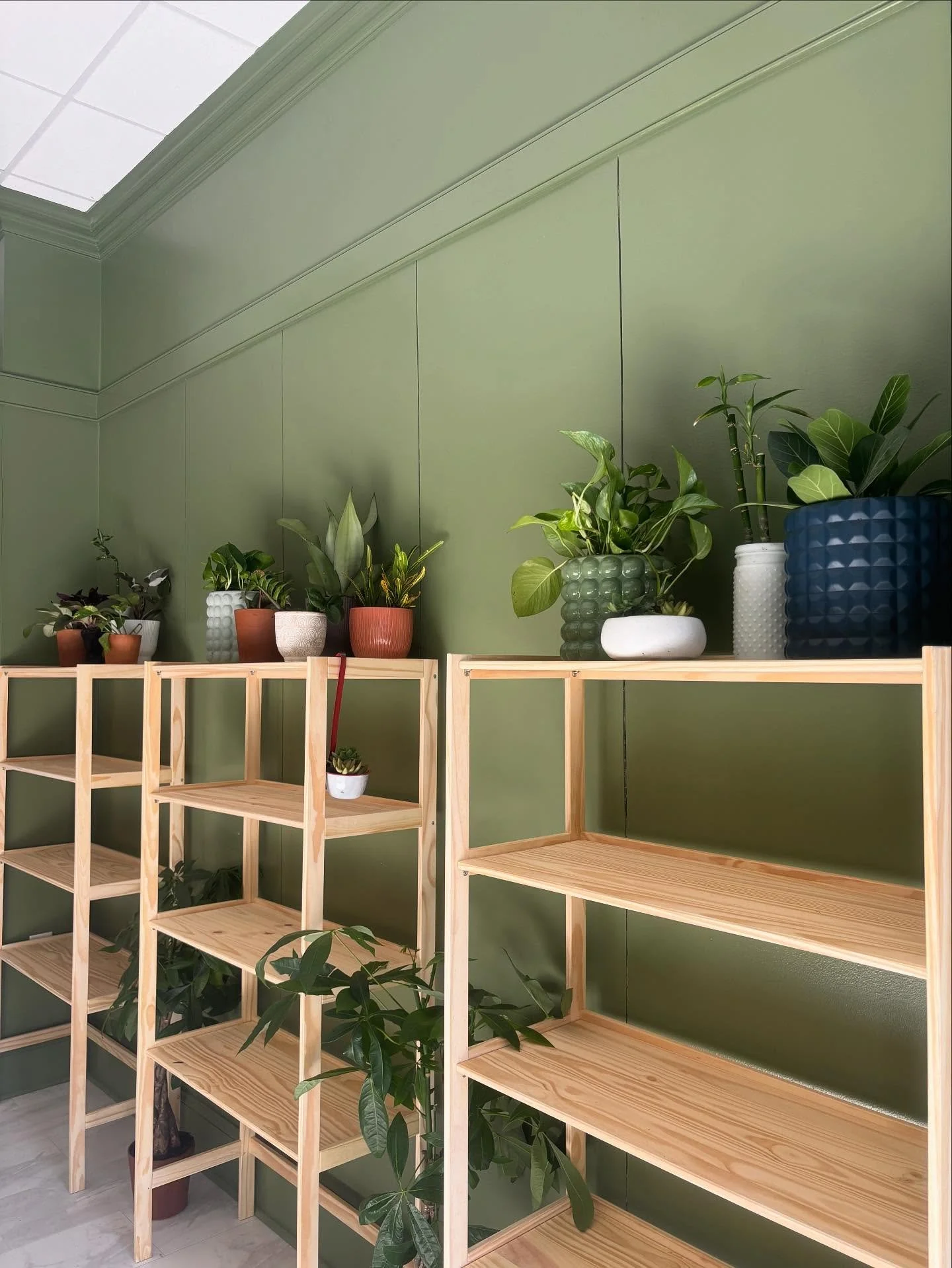We interrupt your slumpday doom scroll for a plant appreciation post. 🪴 The shop is shaping up! 🌿🌿Don&rsquo;t forget to send us a sticker for the coolers! (DM us for address)