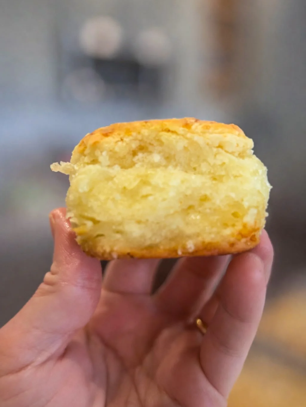 Tuesday heads up ❄️🧊

No trucks running means we can&rsquo;t get any deliveries tomorrow, and with the roads staying sketchy we&rsquo;re keeping our staff safe at home.
Chris and I will be at the shop solo tomorrow. 

No sandwiches Tuesday, but we&r