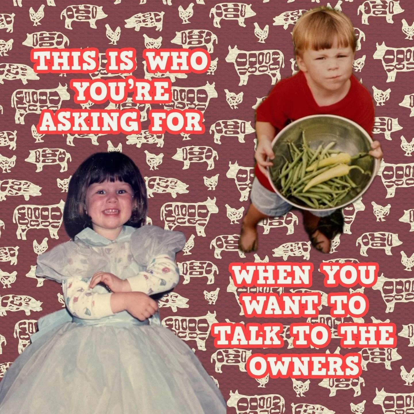 From juice boxes to ribeyes, this is who you&rsquo;re asking for&hellip; we all have that inner child still inside. Come by the shop for some meat, sammies, fun, and laughter. 

#bellowbutcherco #localbutcher #whenwewereyoung #kidchefs #restauranthum