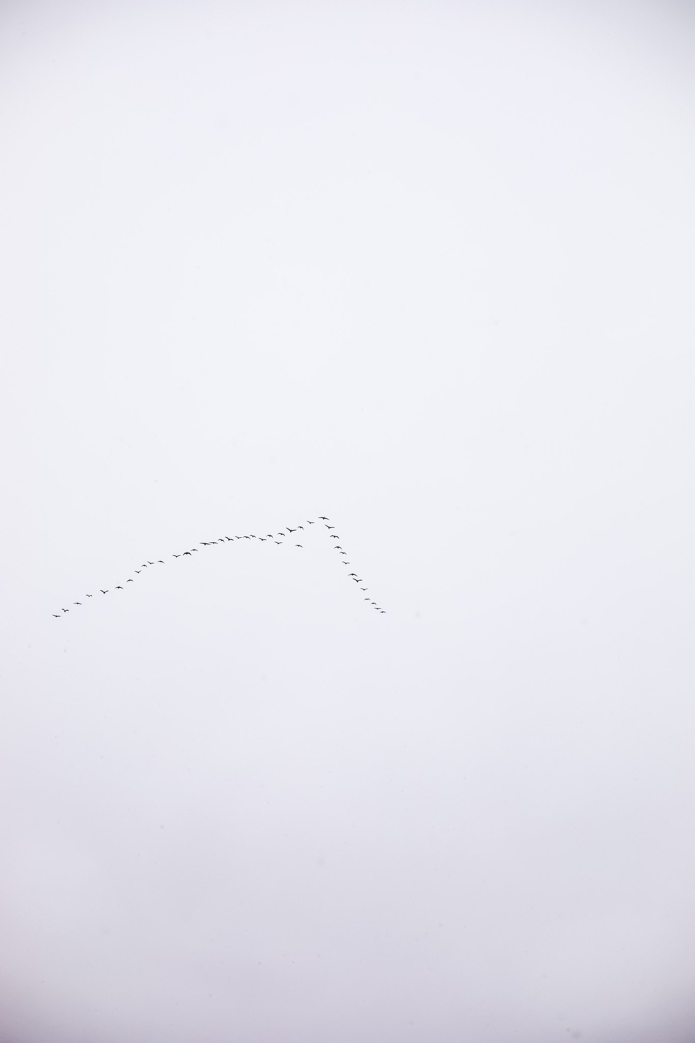 1W0A8021.jpg