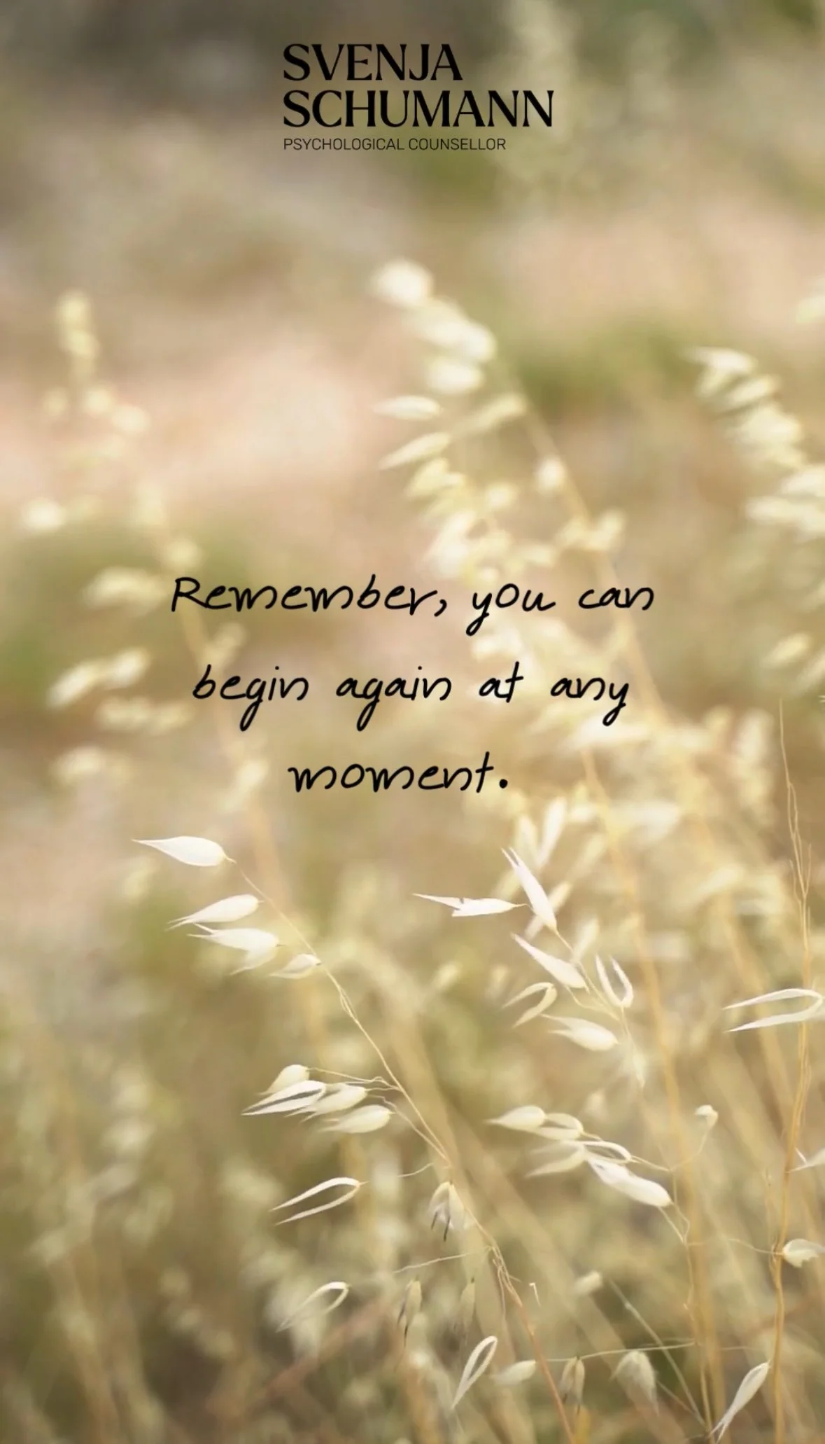 The Middle of the Year: A Gentle Pause to Begin Again