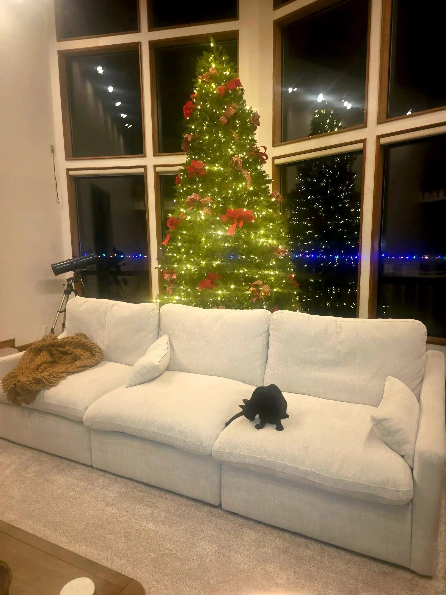 Small black cat laying on a clean white couch with a large Christmas tree in the background