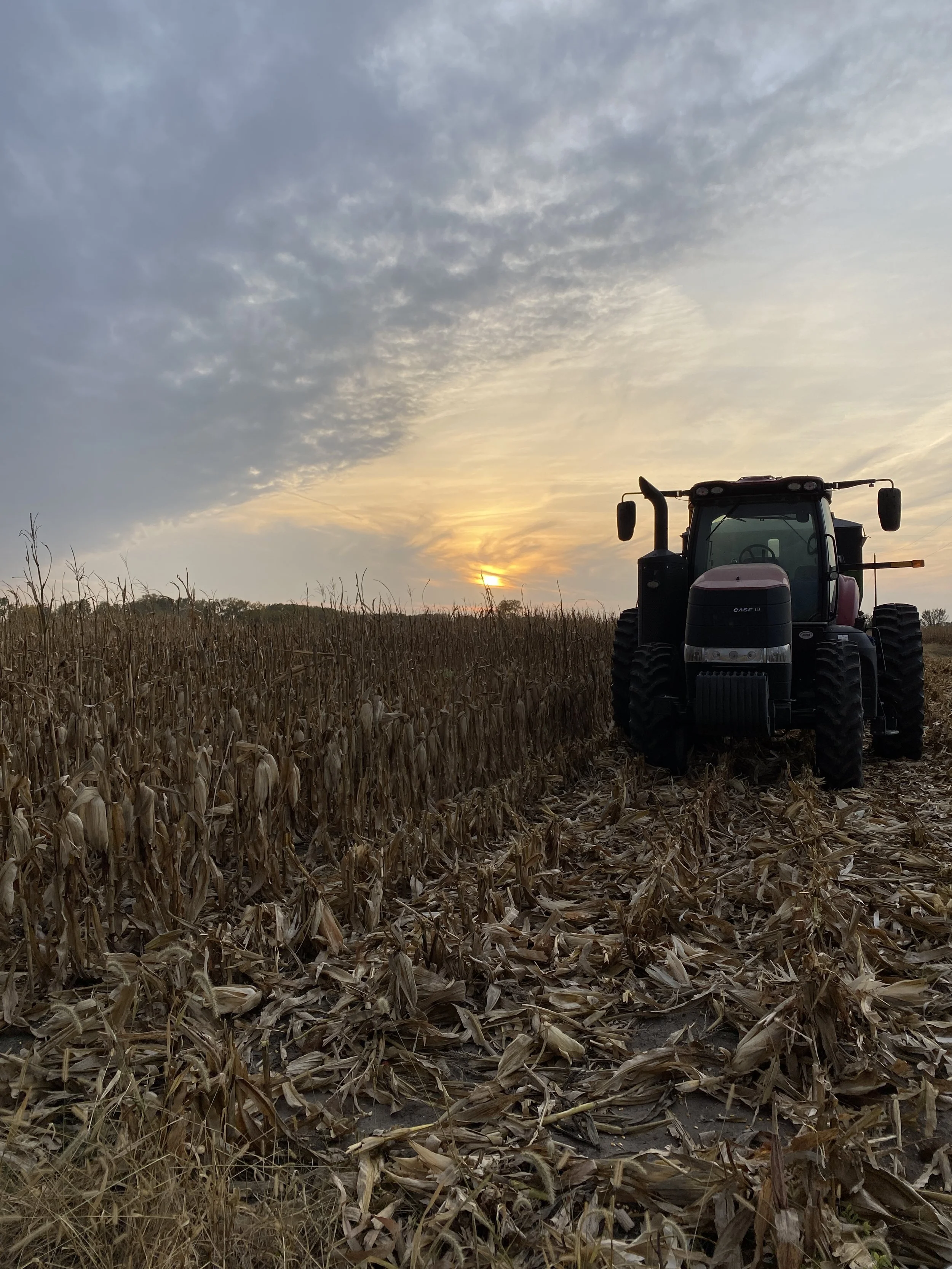 How Do You Protect a Nebraska Farm Through Inheritance, Marriage, and Co-Ownership?