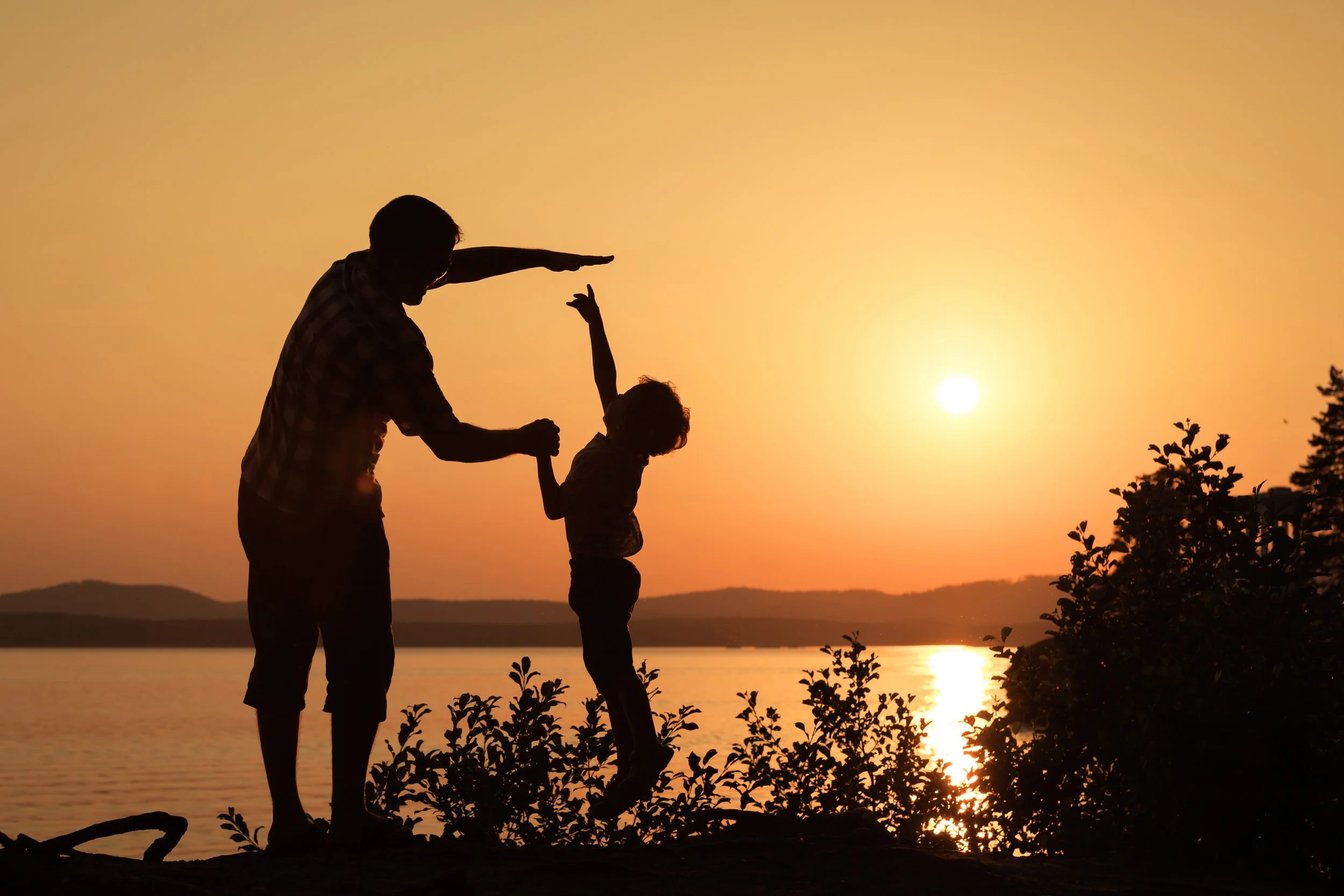 Image in silhouette of man and a boy reaching up