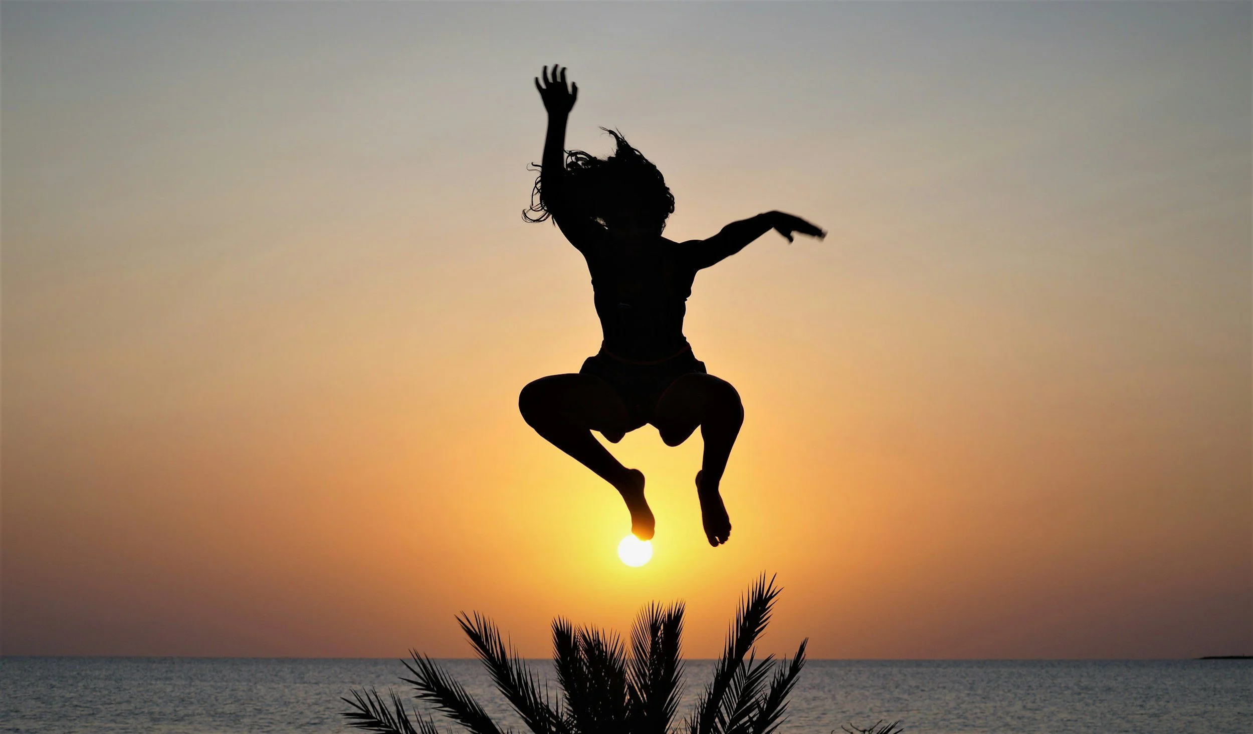 Silhouette of a person jumping in the air at sunset or sunrise near the ocean, with a small palm tree in the foreground.