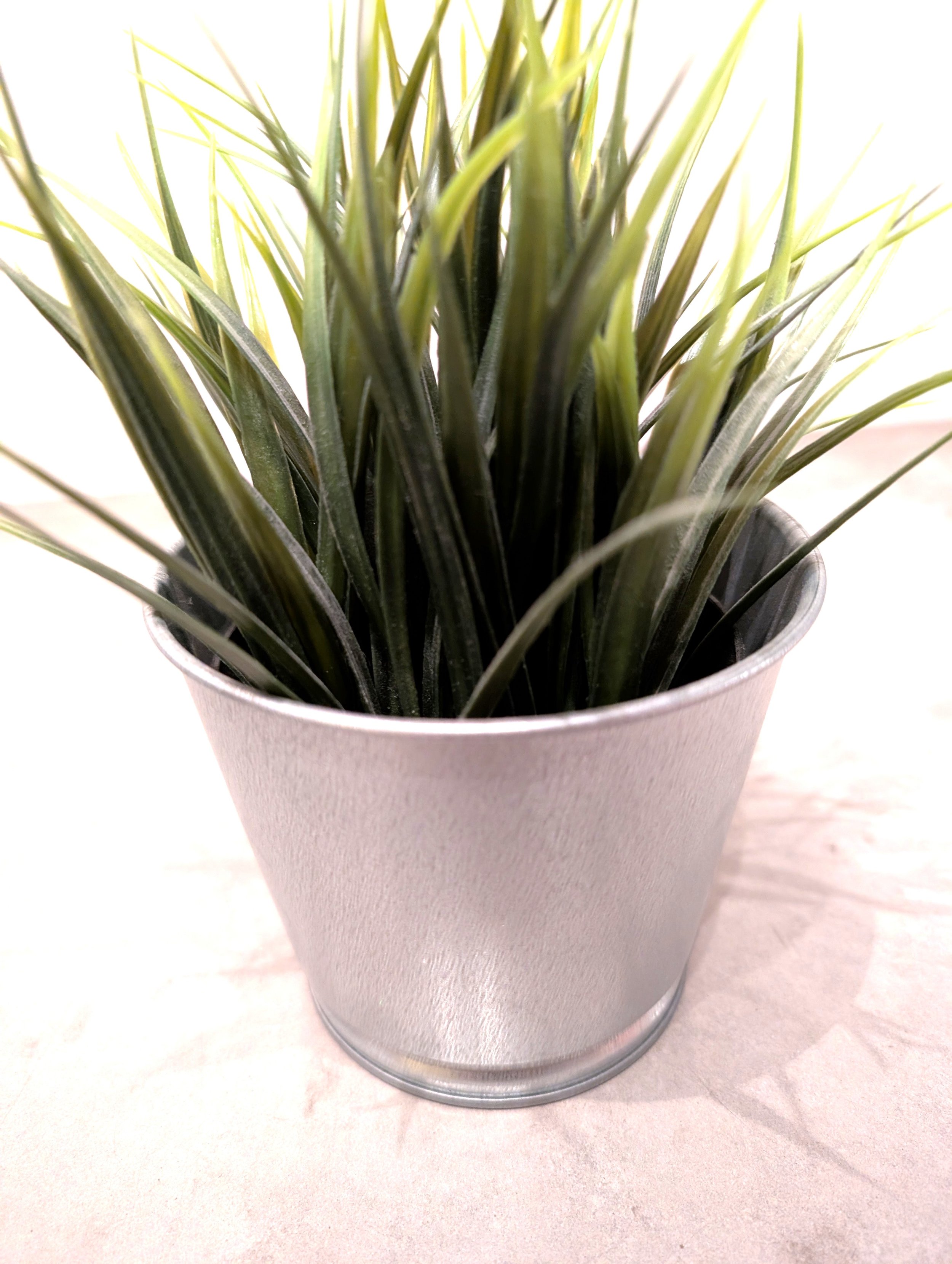 Discounted Shipping Add-On