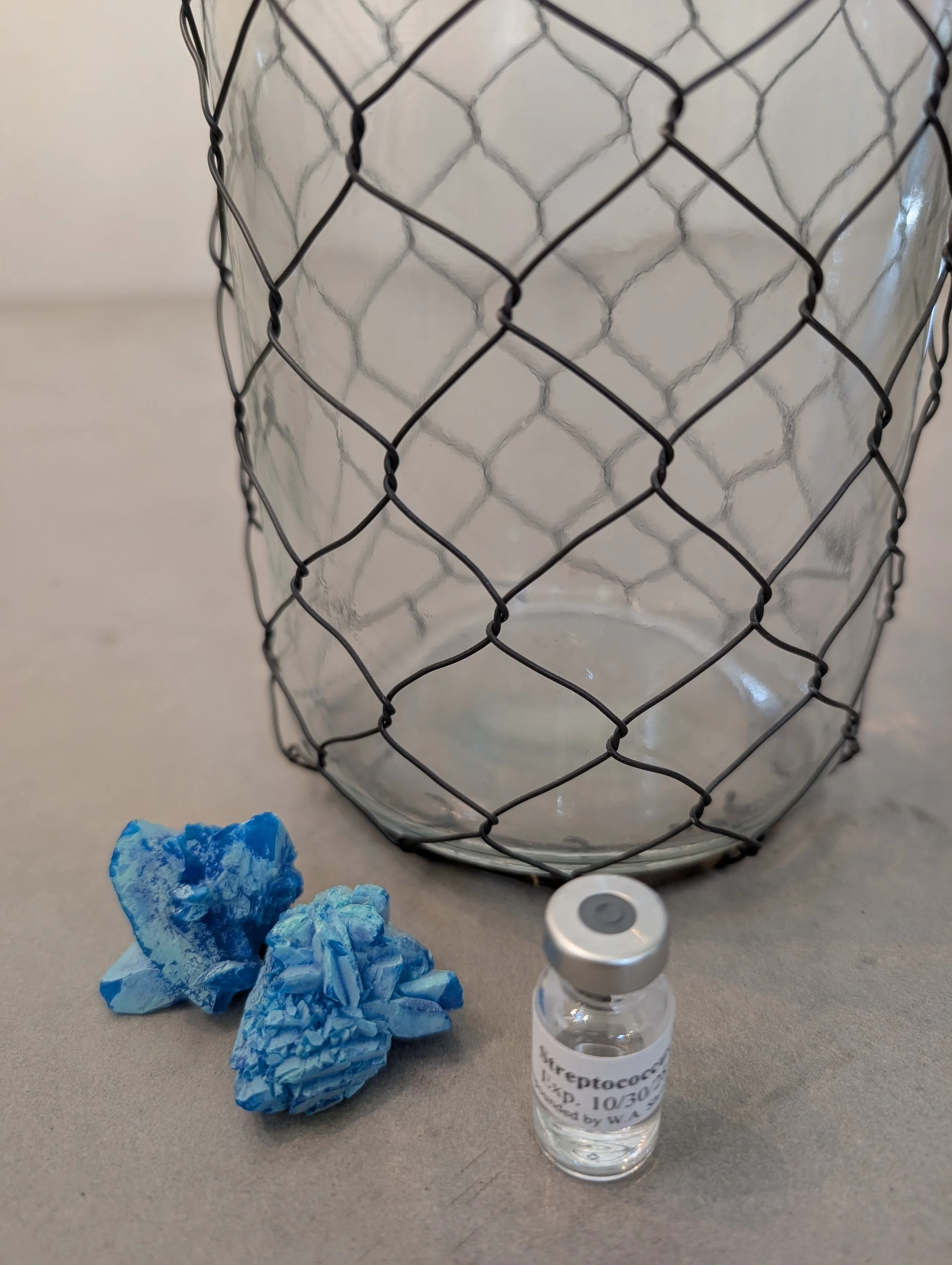 Bacterial Antigen - Streptococcus