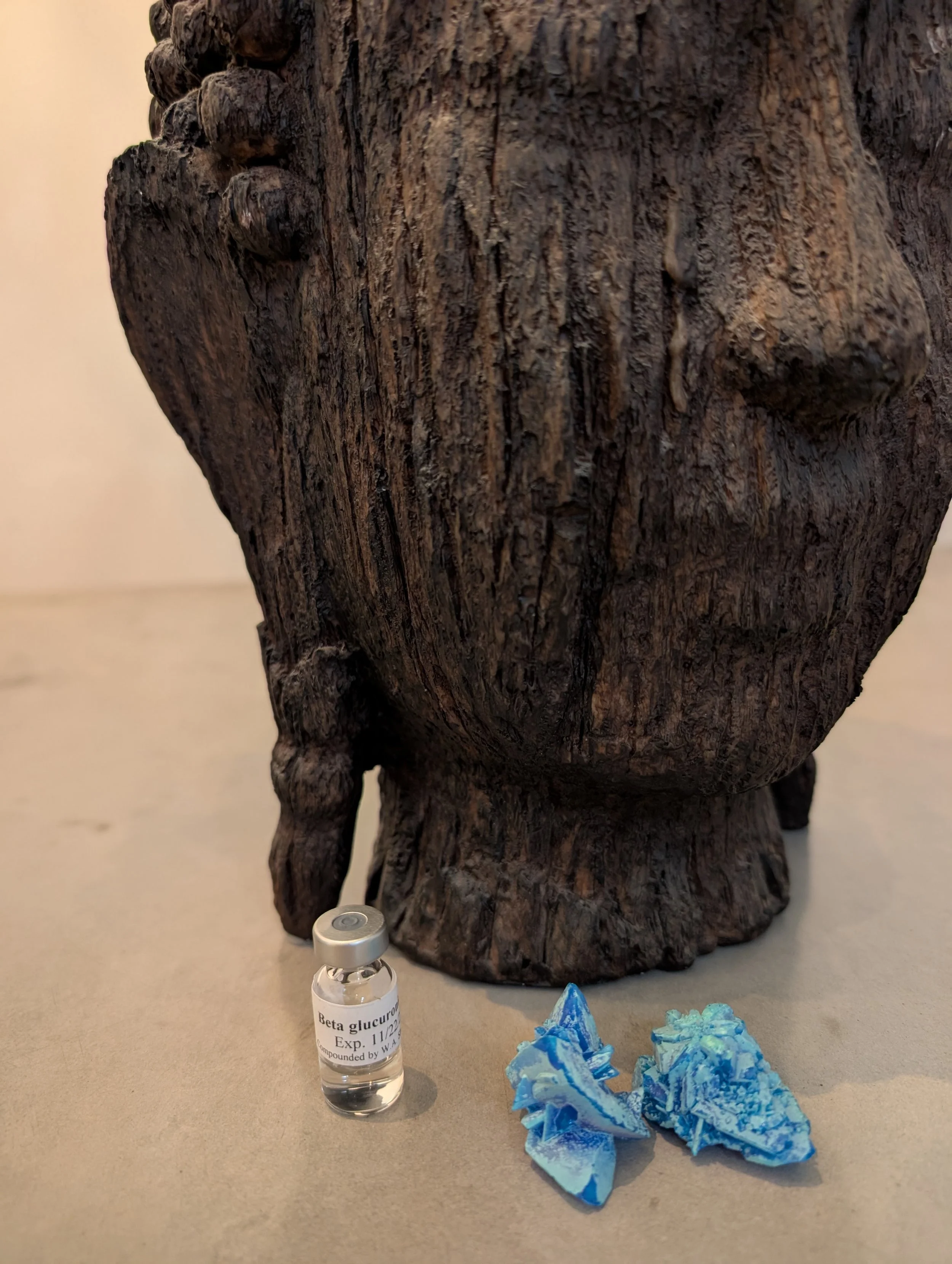 Beta Glucuronidase - Add-On