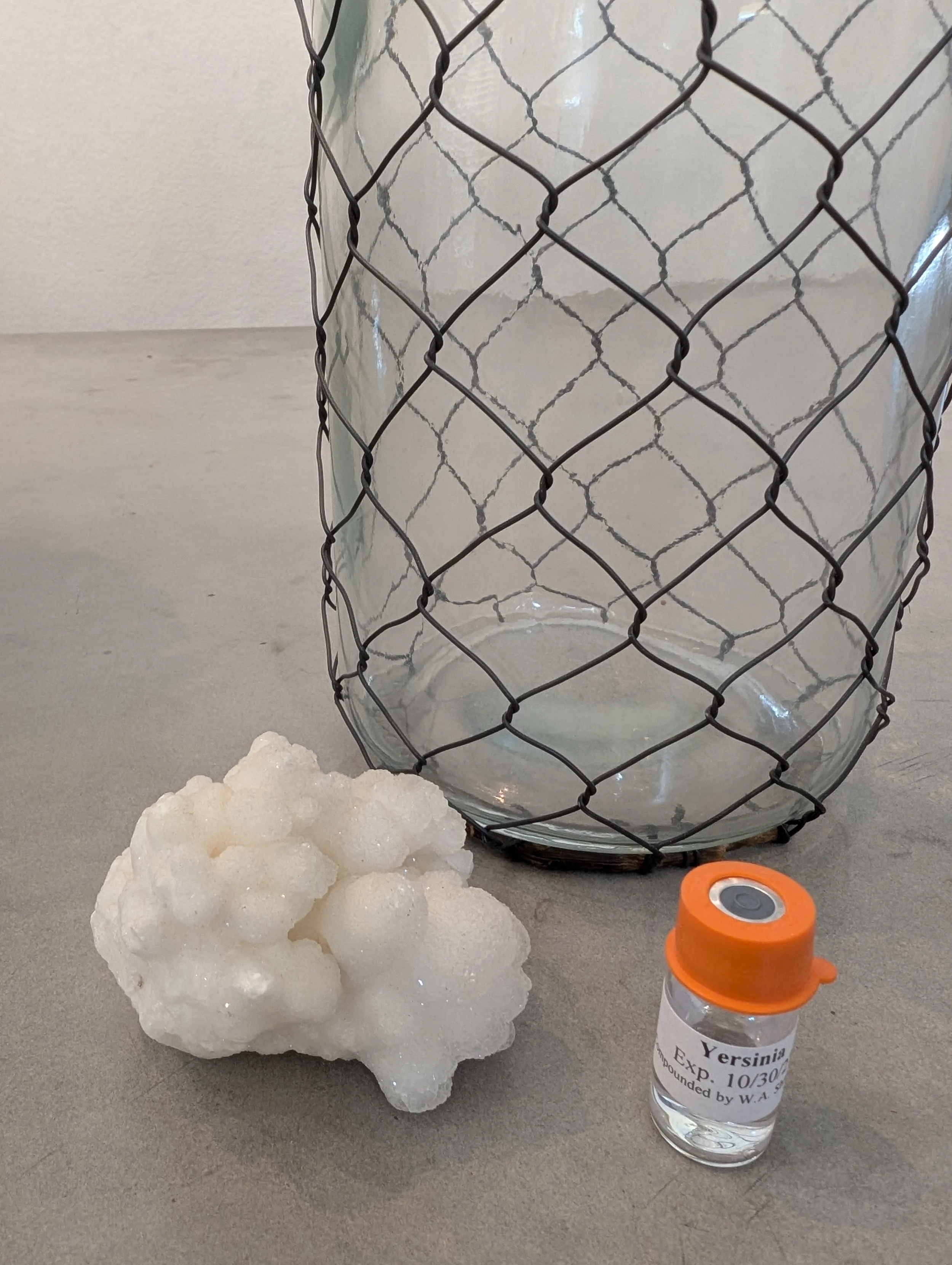 Bacterial Antigen - Yersinia