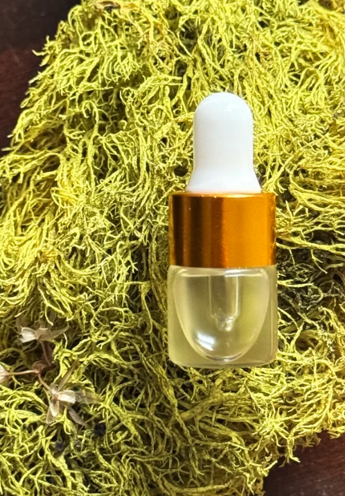 Screenshot 2026-03-27 at 11.42.38 AM.png