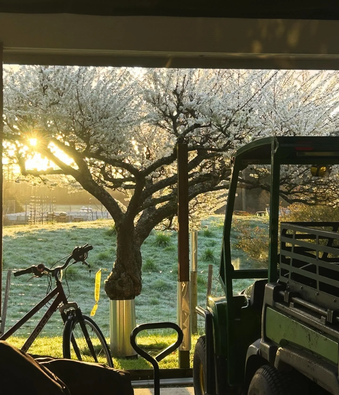 Good magical morning 🥰