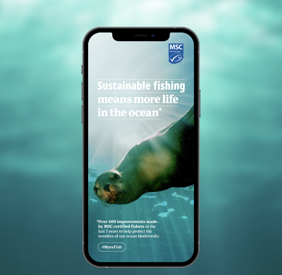 Sustainable fishing               means more fish.
