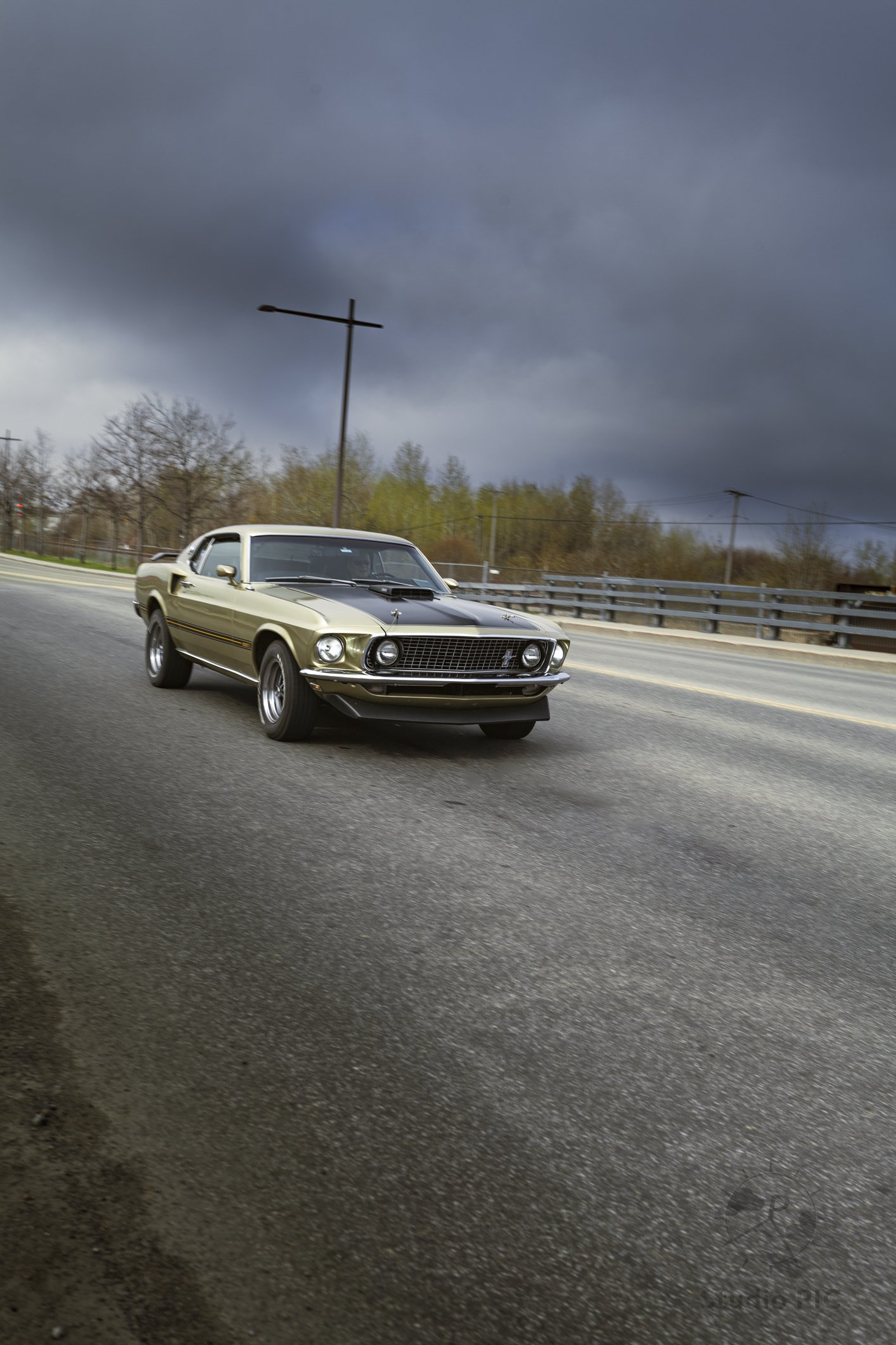 Photo de sport motorisé et haute performance; Ford Mustang se dirigeant au plus grand rassemblement de Mustang à Québec