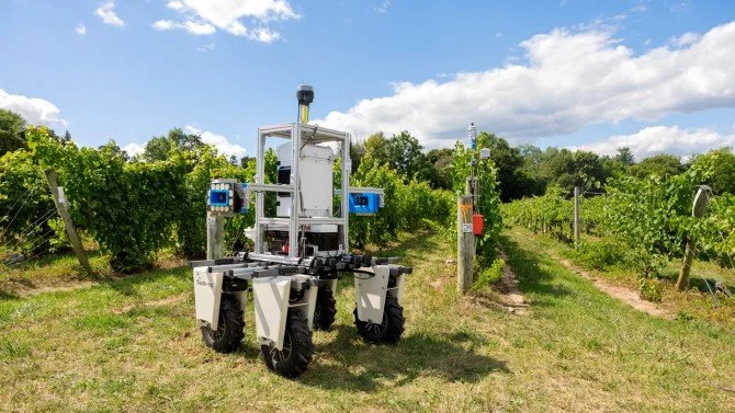 Robot matches humans in scouting for vineyard diseases