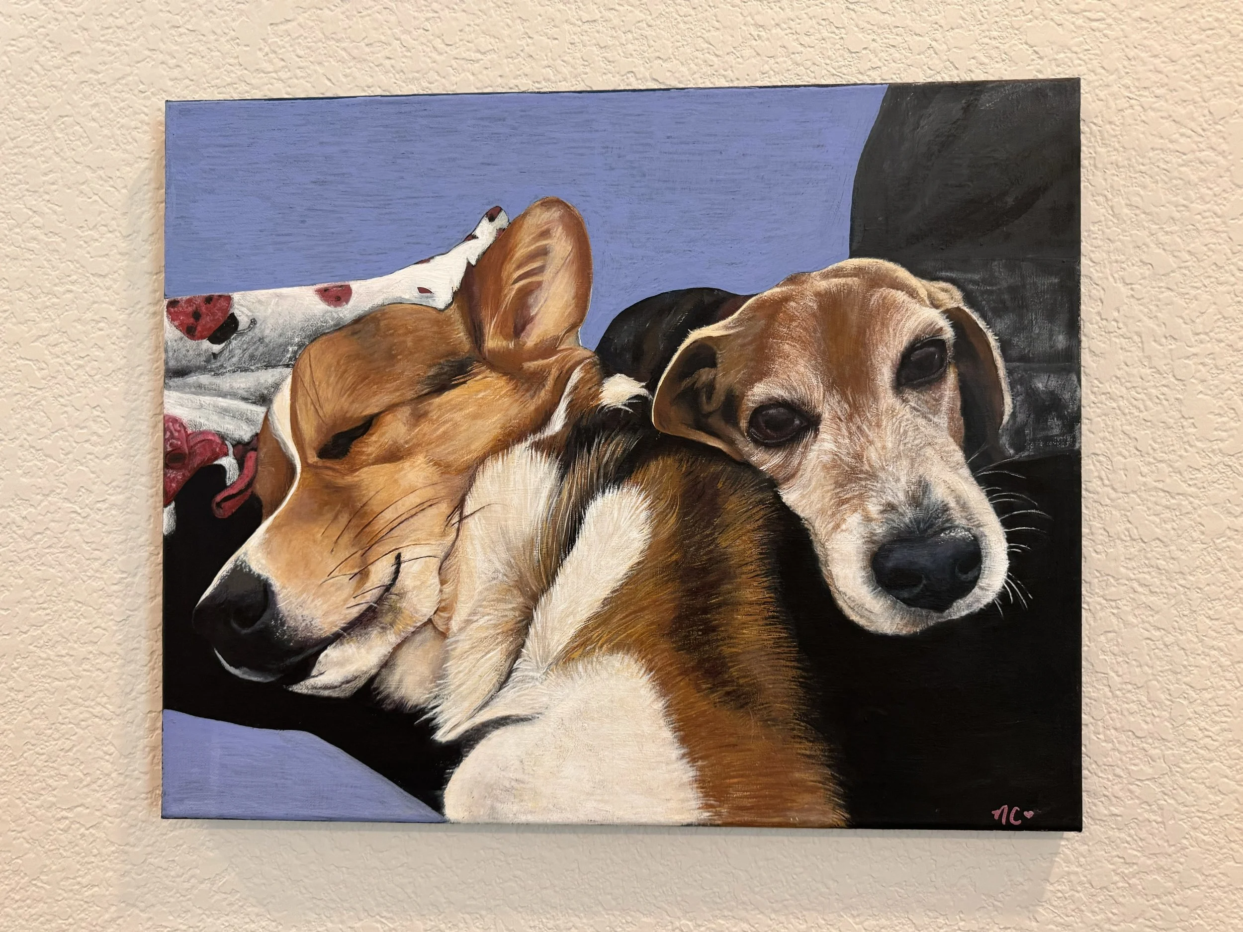 acrylic on canvas, commission (1/1)