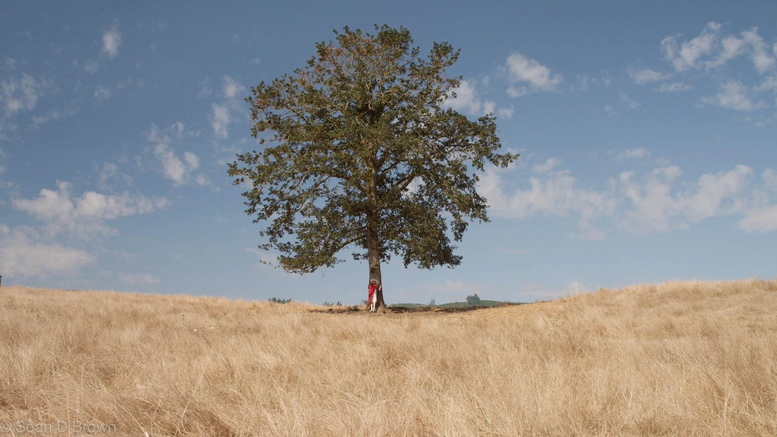 Rooted and Reaching