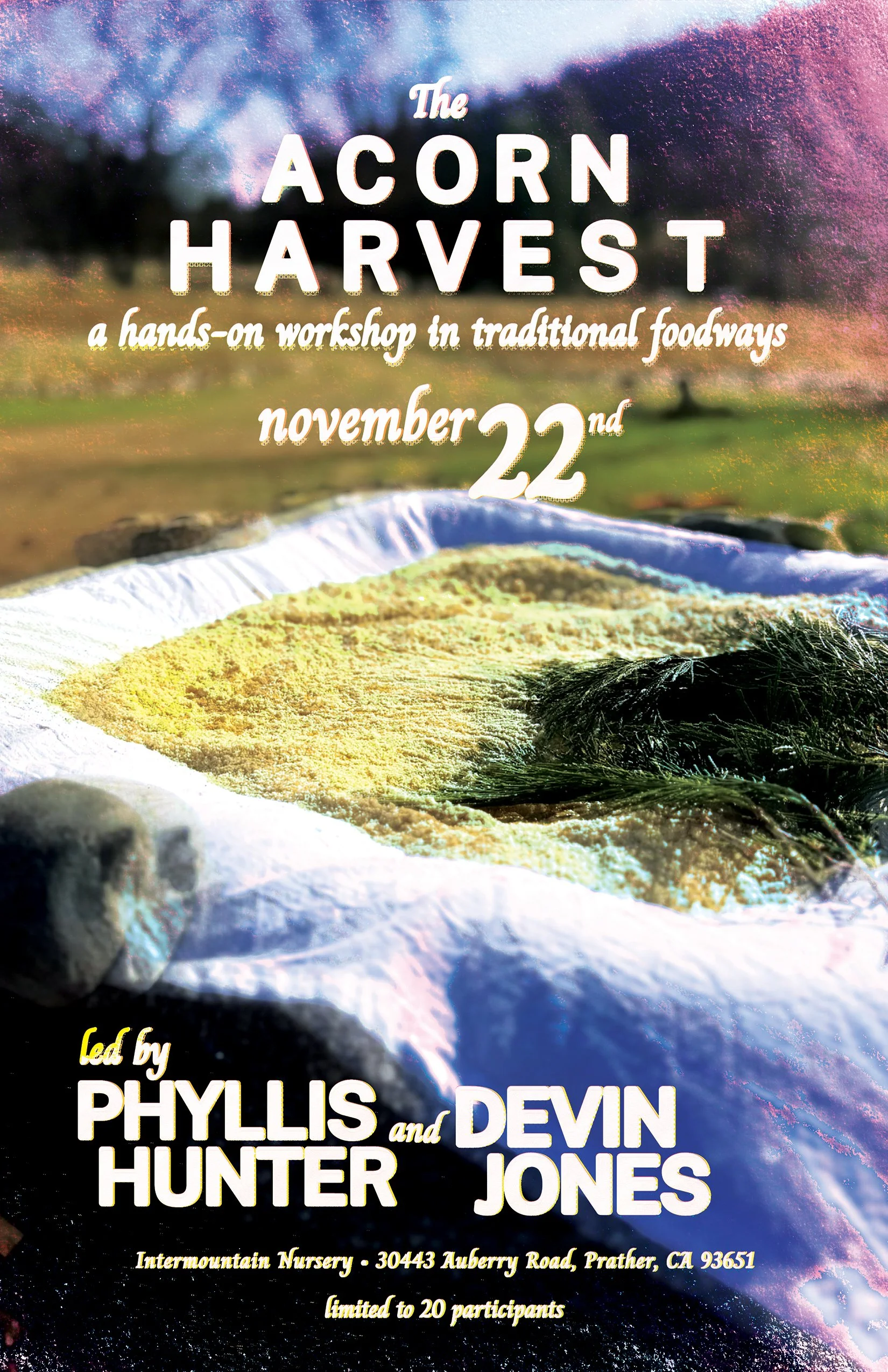 The Acorn Harvest: A Hands-On Workshop in Traditional Foodways