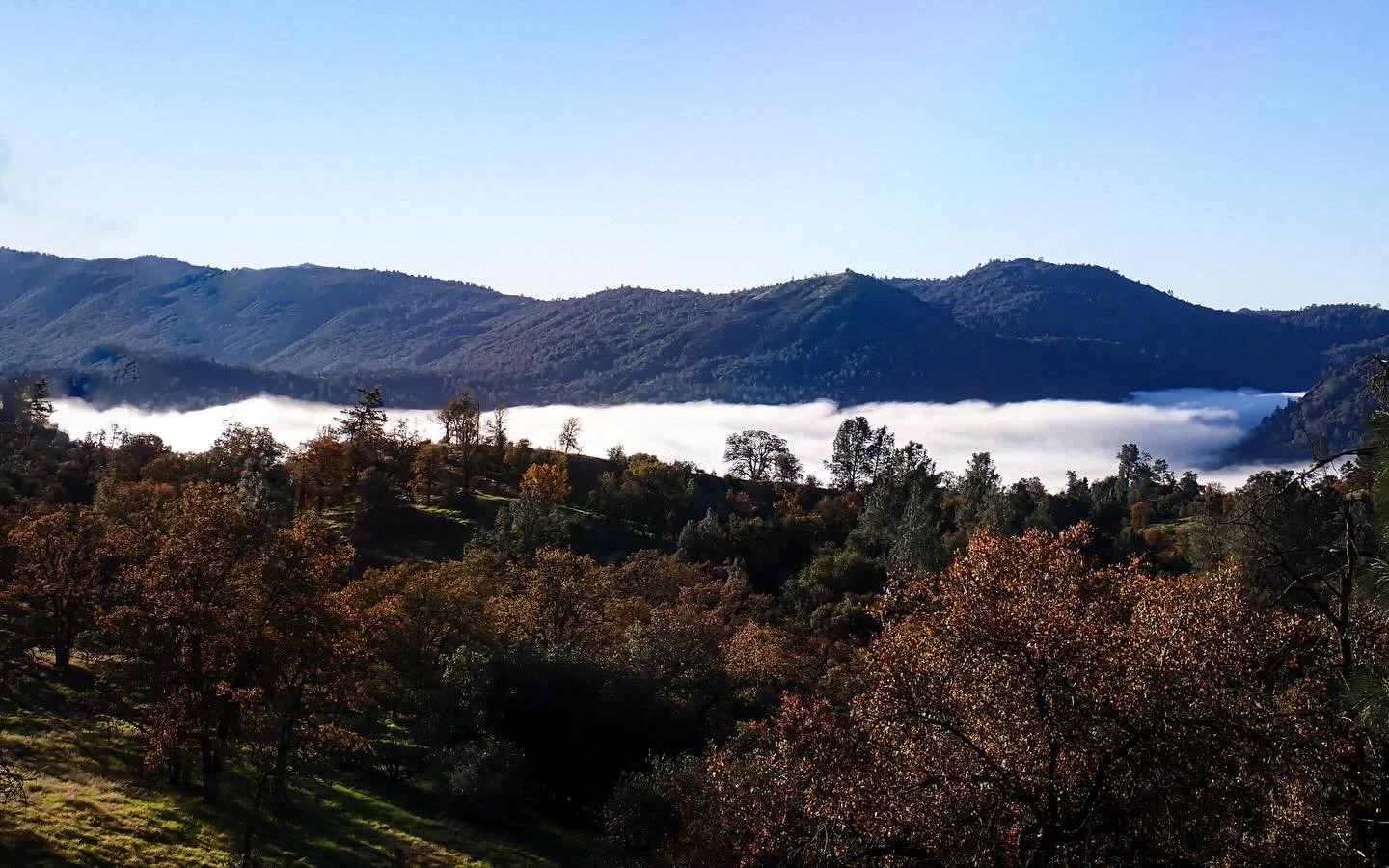 HOLIDAY HOURS 🎄 
Intermountain will close for our annual winter break from December 22nd through January 2nd.

Before we rest for a few weeks, a quick reminder: Sunday, December 21st is your last chance to swing by before the break and grab holiday 