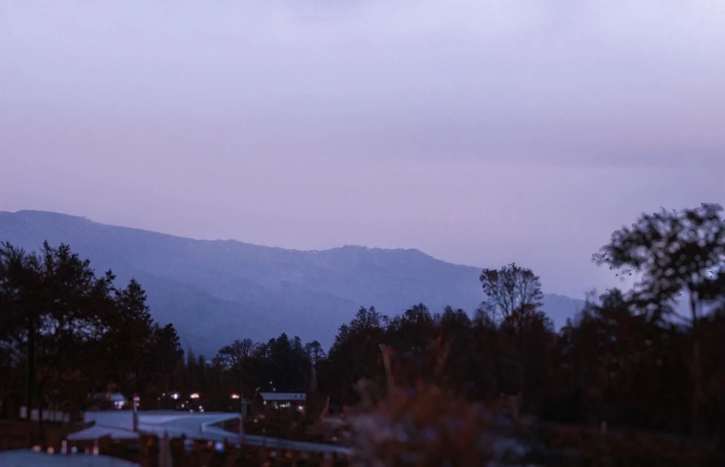 RAINY DAY SCHEDULE ⛈️  UPDATE: We will be closed Sunday, November 16th and back open our normal hours on Wednesday 🐞
 Stay safe and dry everyone!