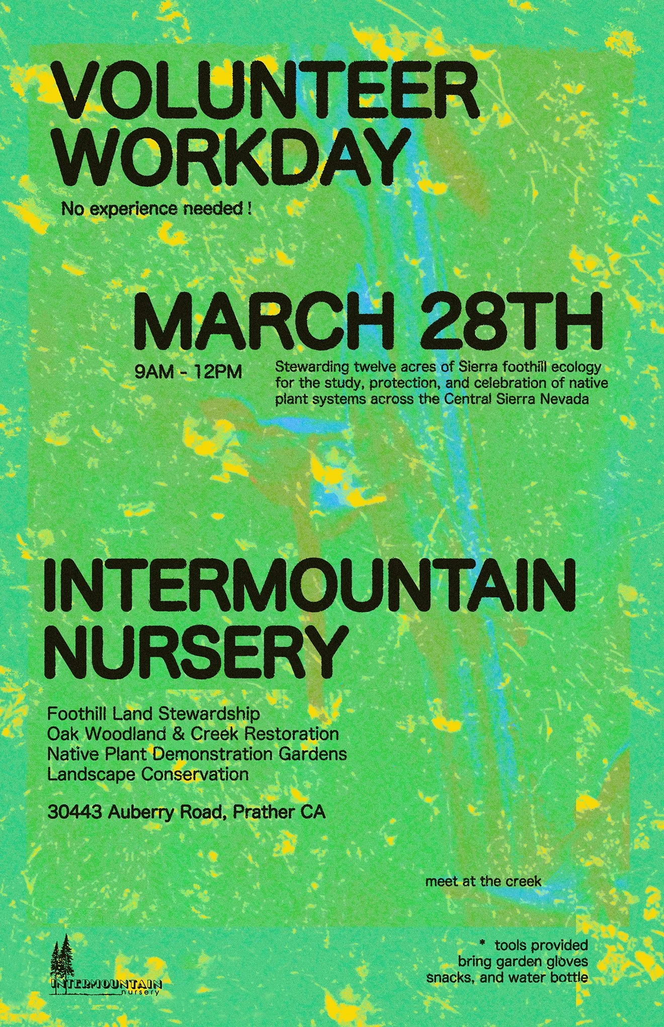 Volunteer Workday at Intermountain Nursery