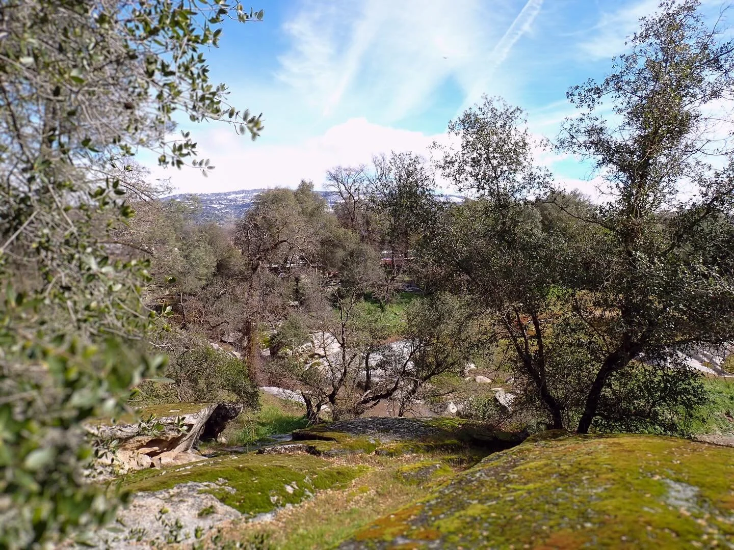 NEWS 📰 

A post-storm update post from the confluence. We hope everyone is drying out and enjoying the sun!  1-5: Views from today and the last few days including Big Sandy, cool granite, Pellaea mucronata (Birdfoot Fern), and donuts 🍩   6: Abies f