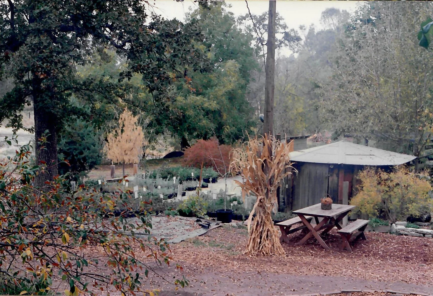 © Bonnie Bladen 1994