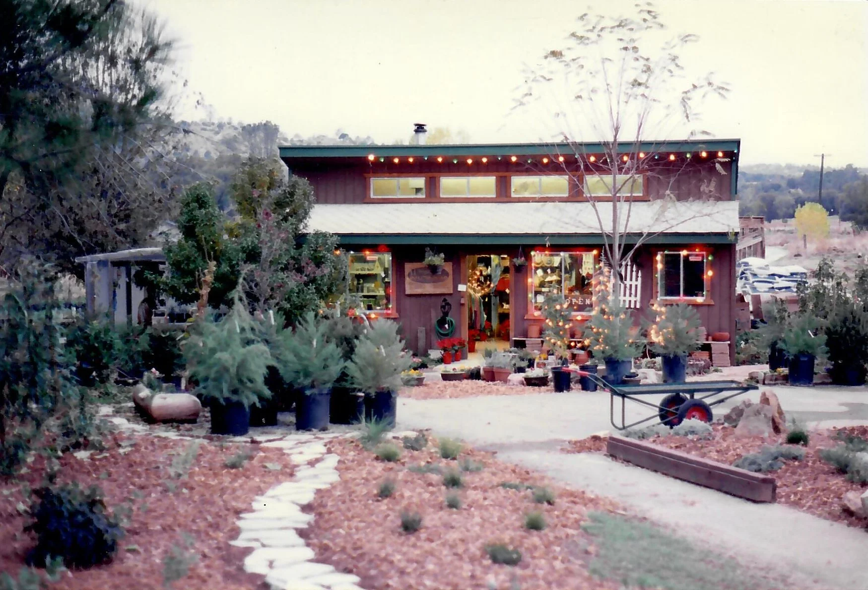 © Bonnie Bladen 1994