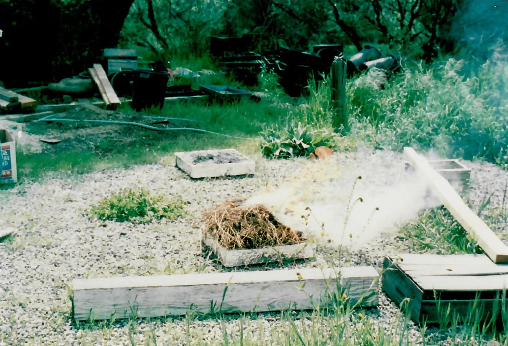 © Bonnie Bladen 1994