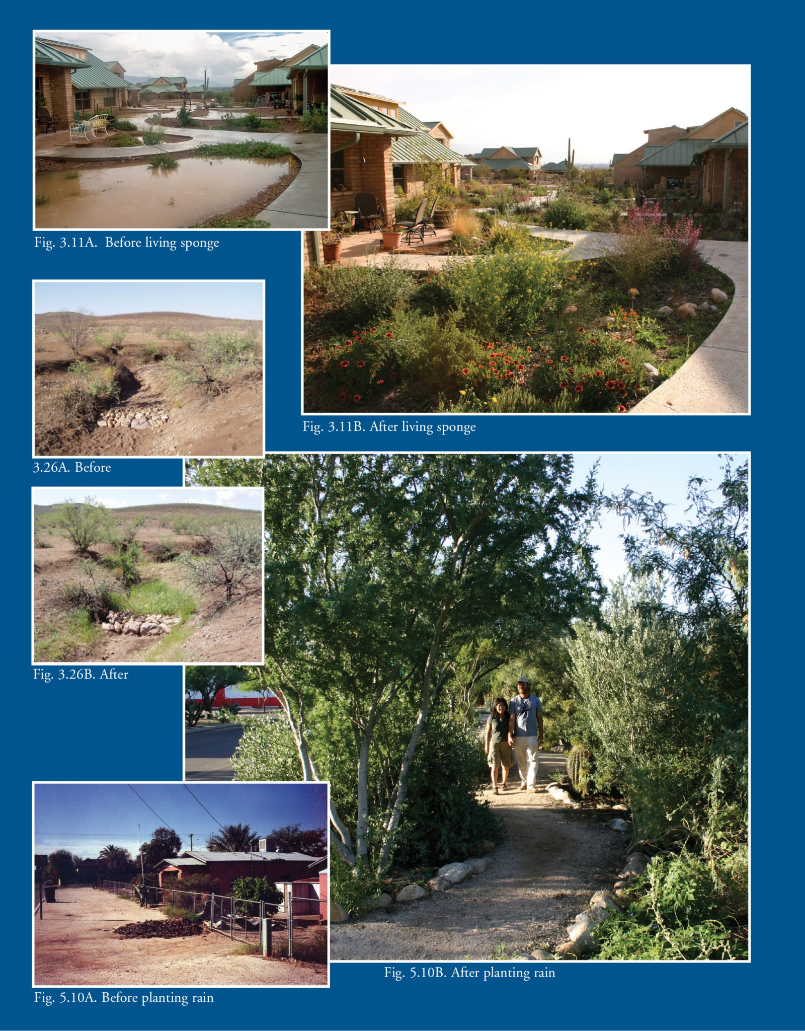 Cover-Volume-1-Front-inside-6419.jpg