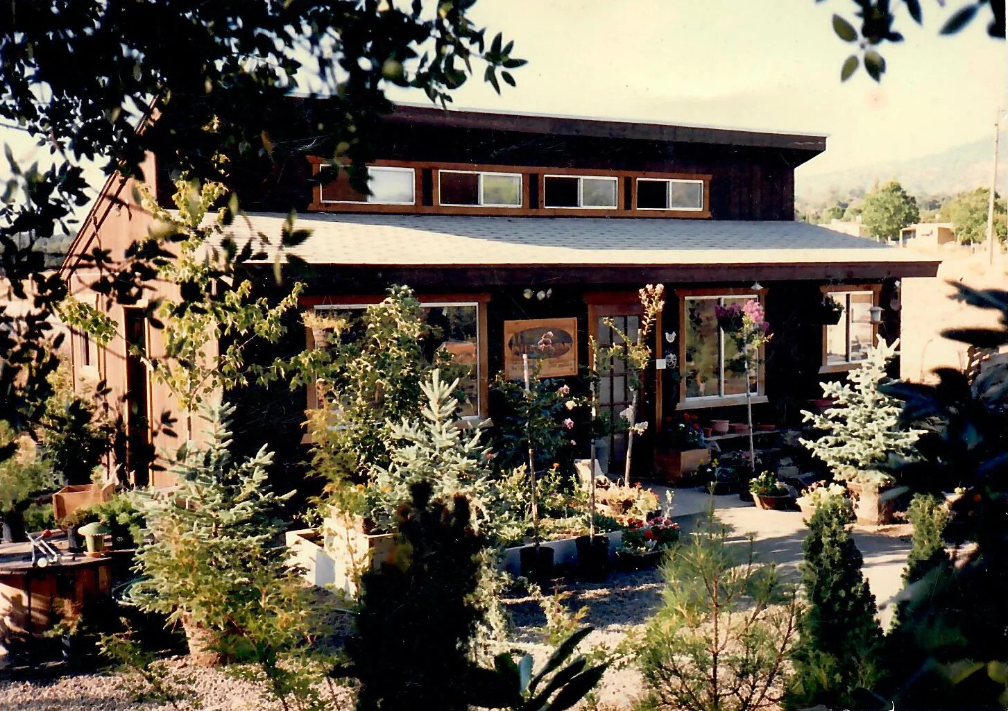 © Bonnie Bladen 1994