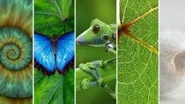 Moments that Matter.