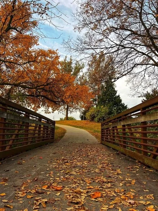Fall Path