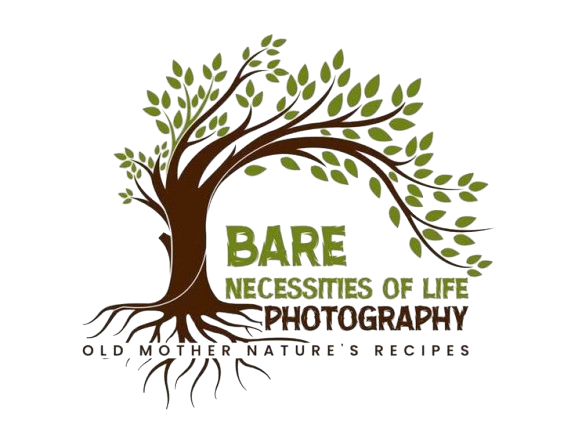 Bare Necessities of Life Photography