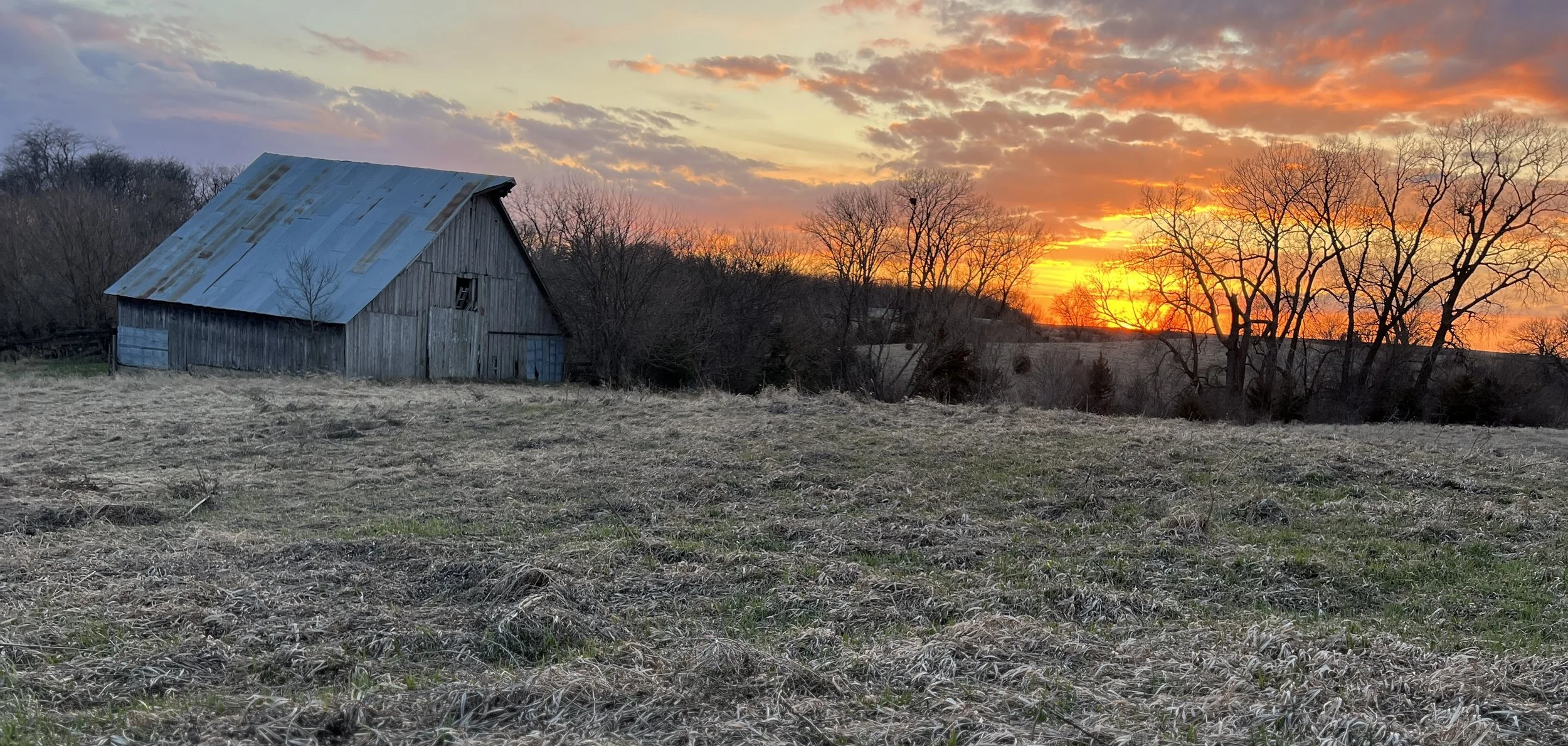 Old wooden barn with metal roof in a field at sunset, with a vibrant orange and yellow sky and silhouettes of leafless trees.