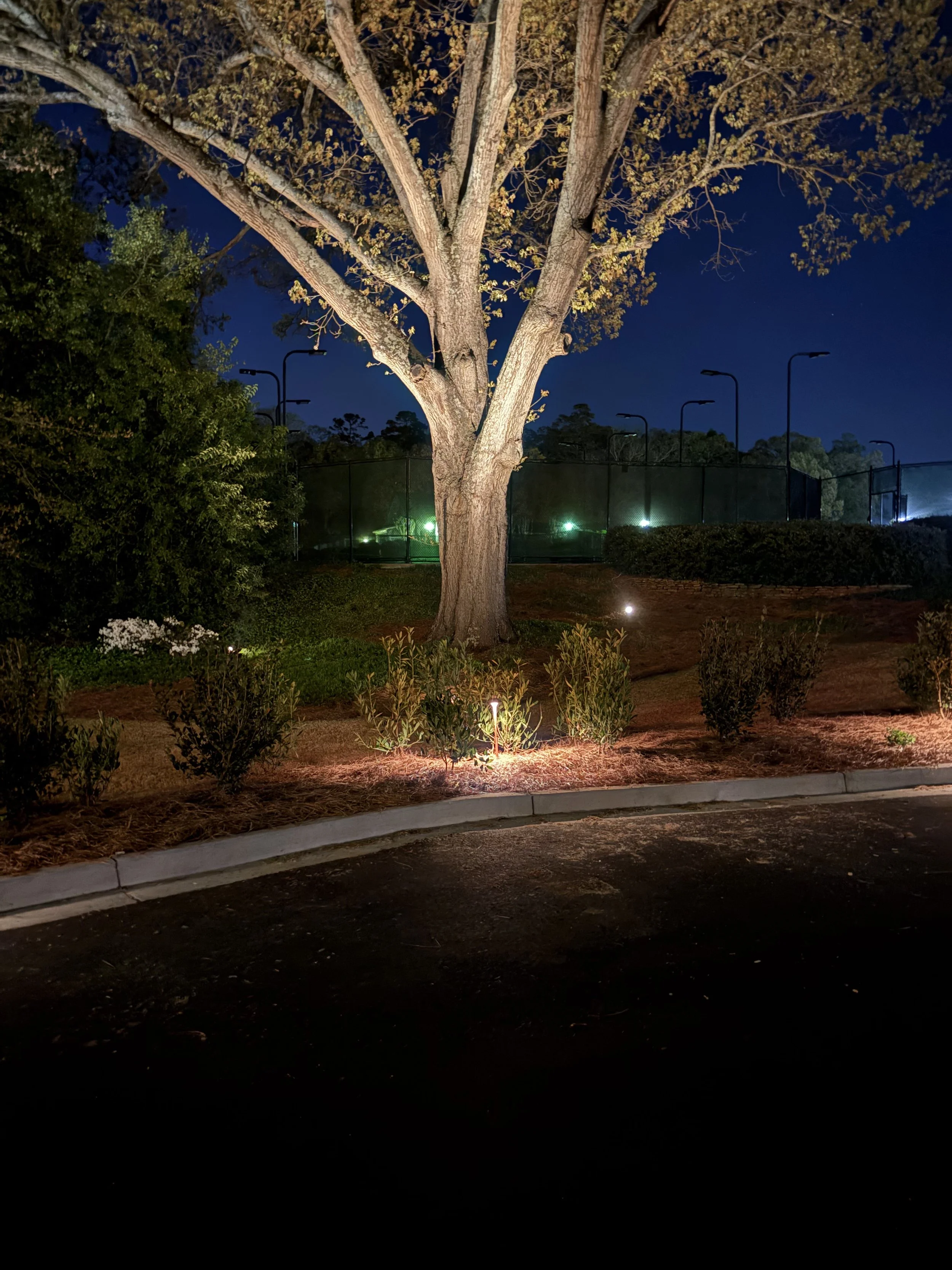 Outdoor lighting.JPG