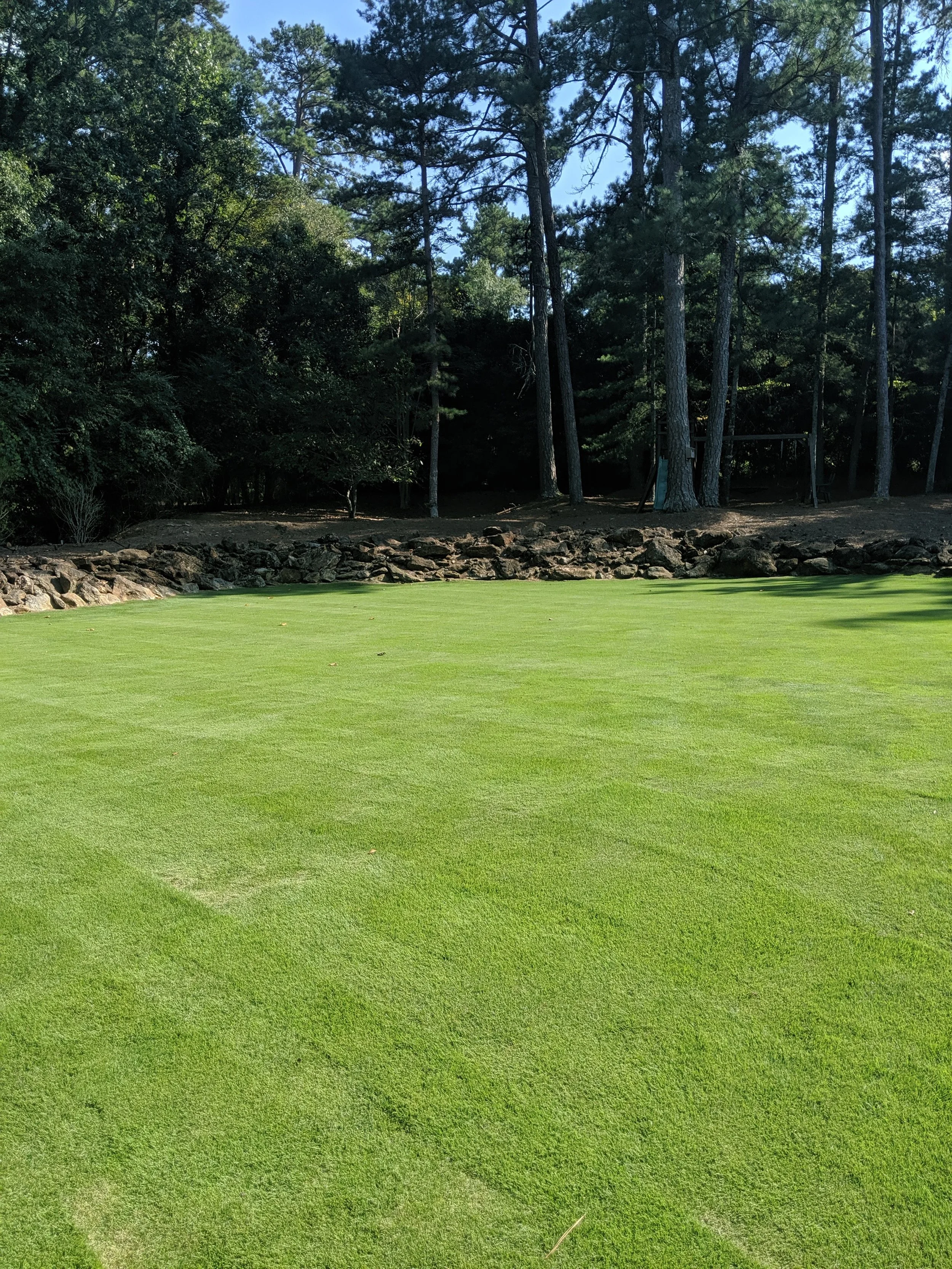 Turf management _ design.jpg