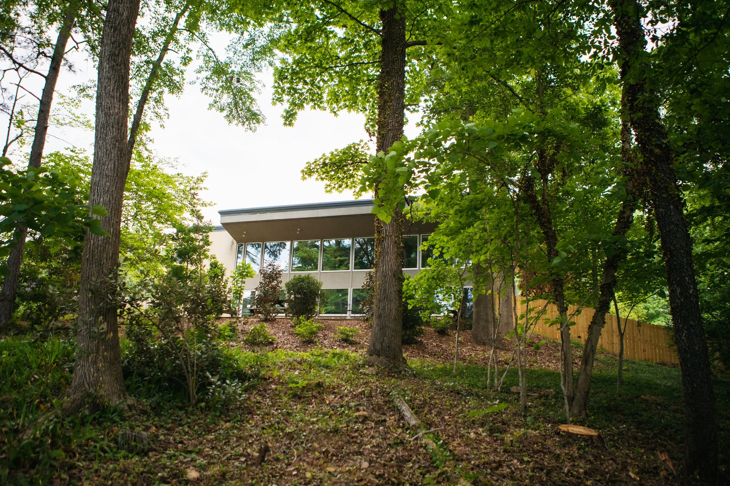 Peering up from the land behind the church, the window-wall of the sanctuary can be seen through the green leaves of the wooded land