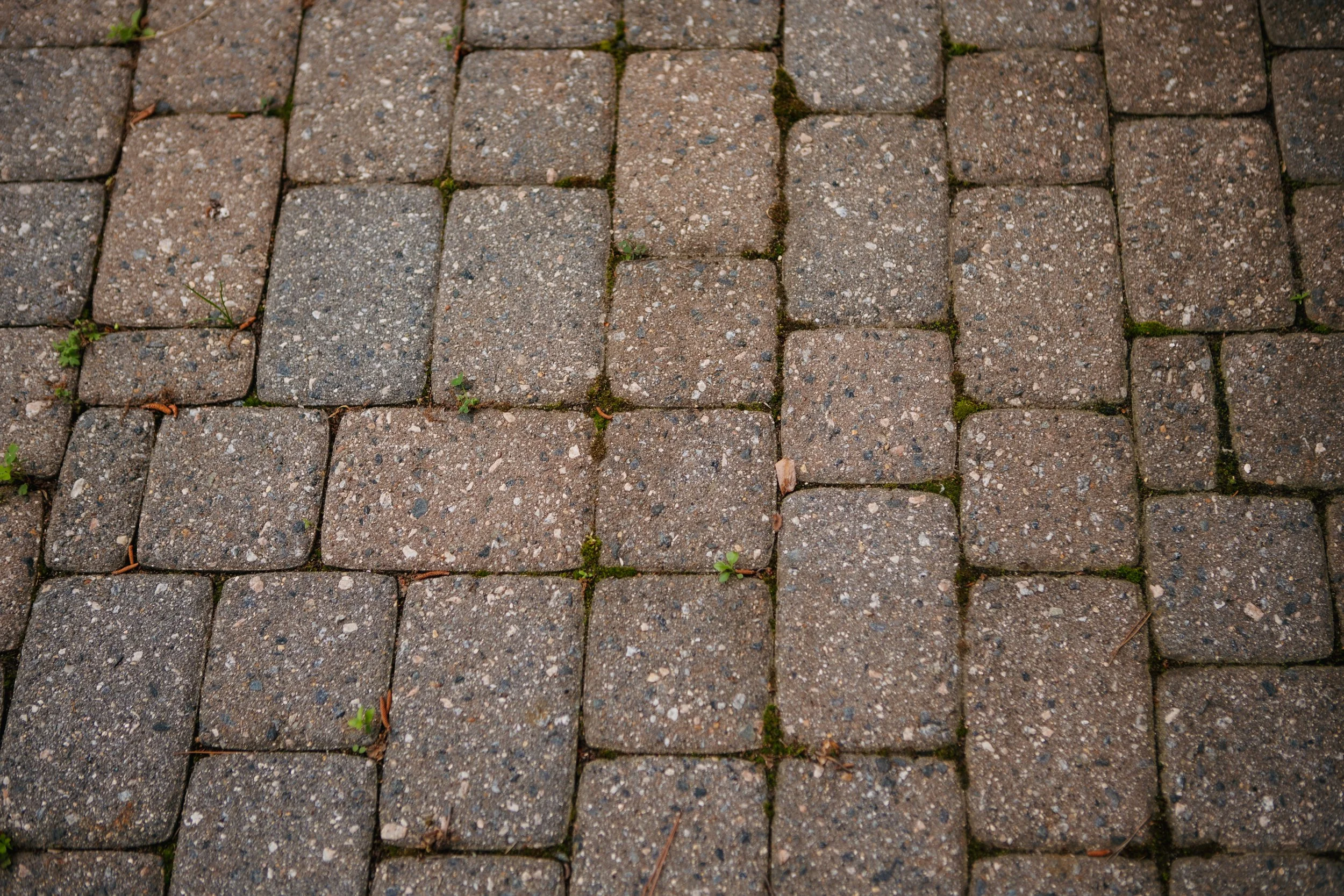 an attractive red brick pathway leads to the shaded patio of Piedmont Unitarian Universalist Church