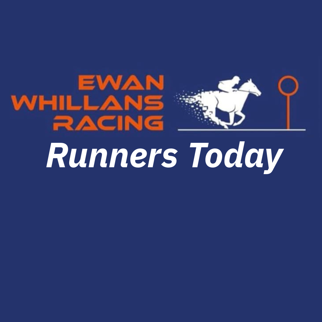 Two Runners for the stable on Plate Day at Newcastle