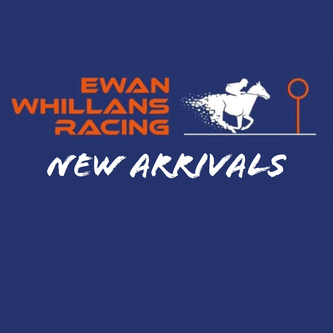A Busy Week at Ewan Whillans Racing: New Acquisitions from Doncaster and Ireland