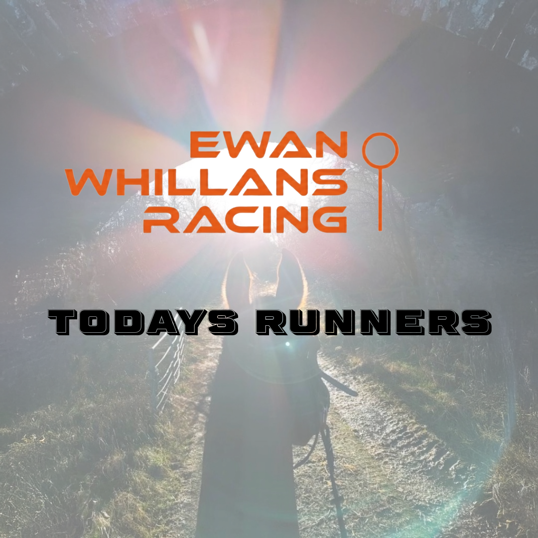 Wolverhampton Runner Preview