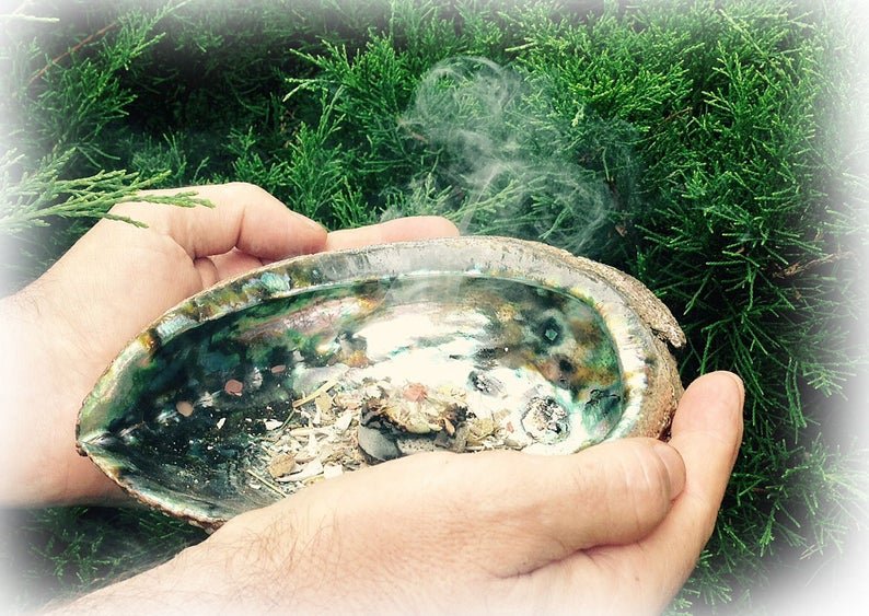 Shell Hand.jpg