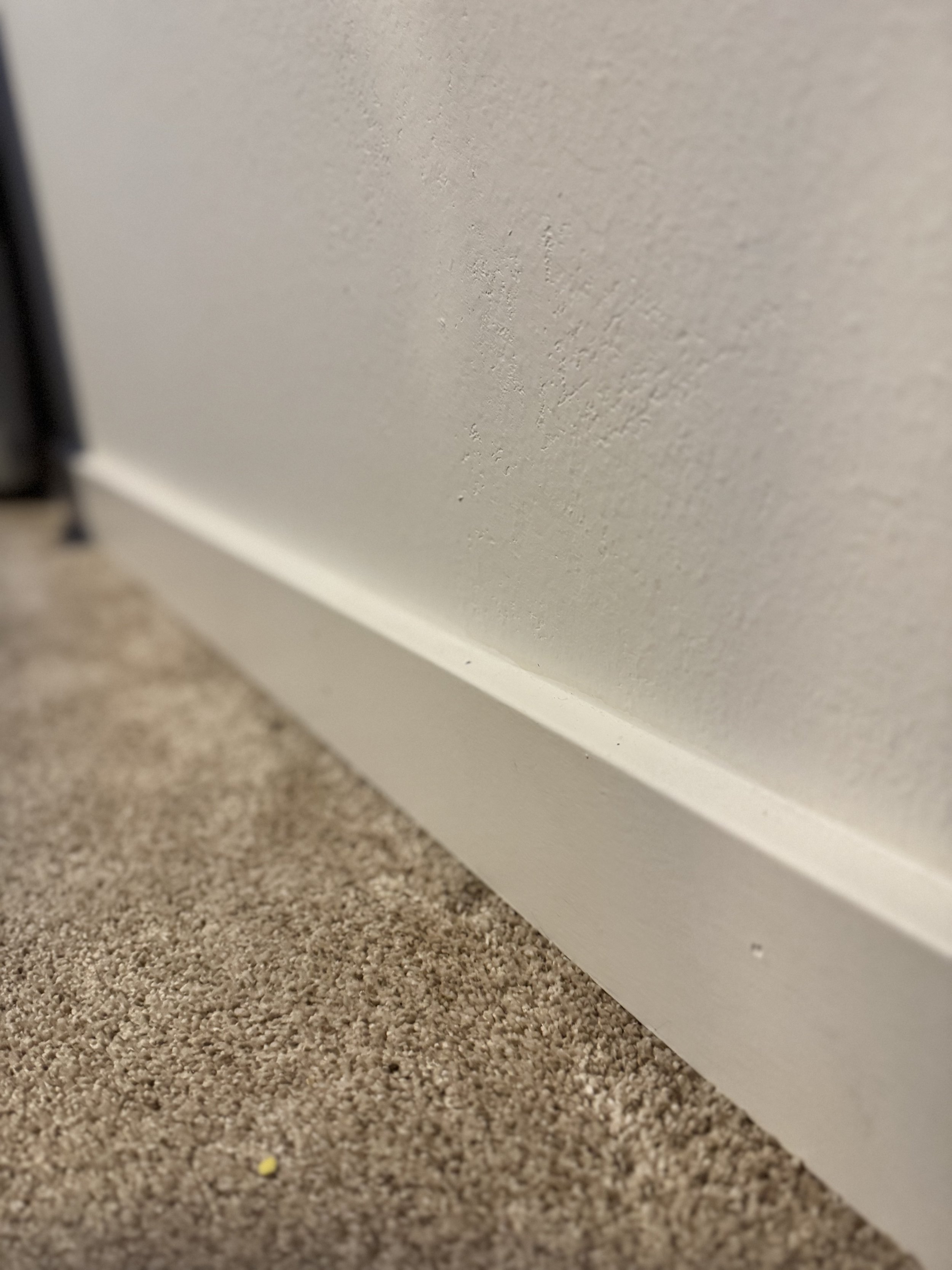 Baseboard and trim replace