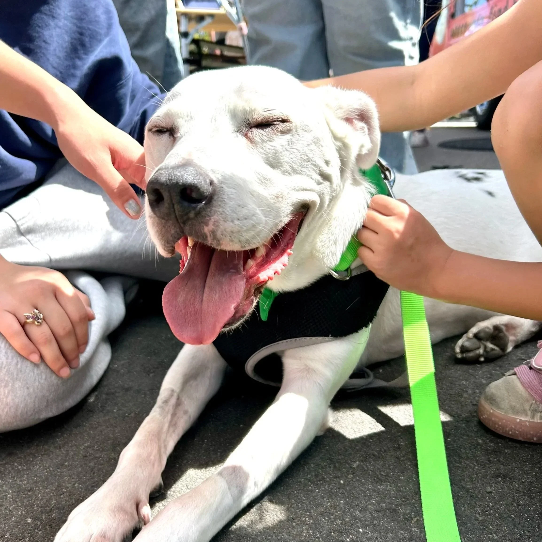 Hope for Howie