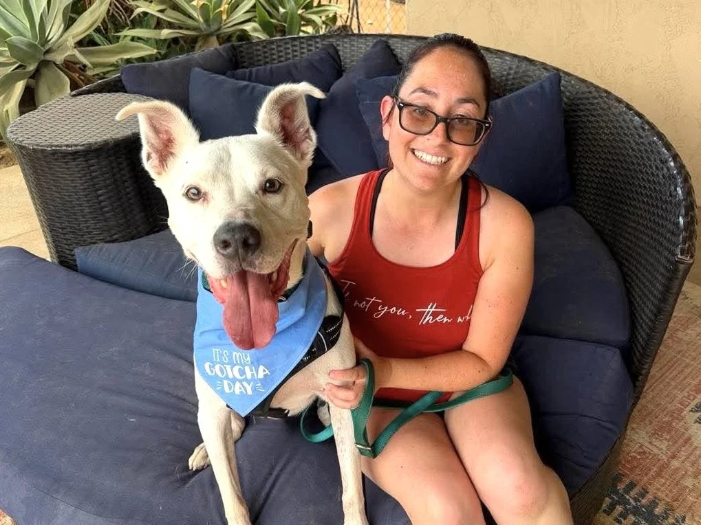 Dog adoption photo