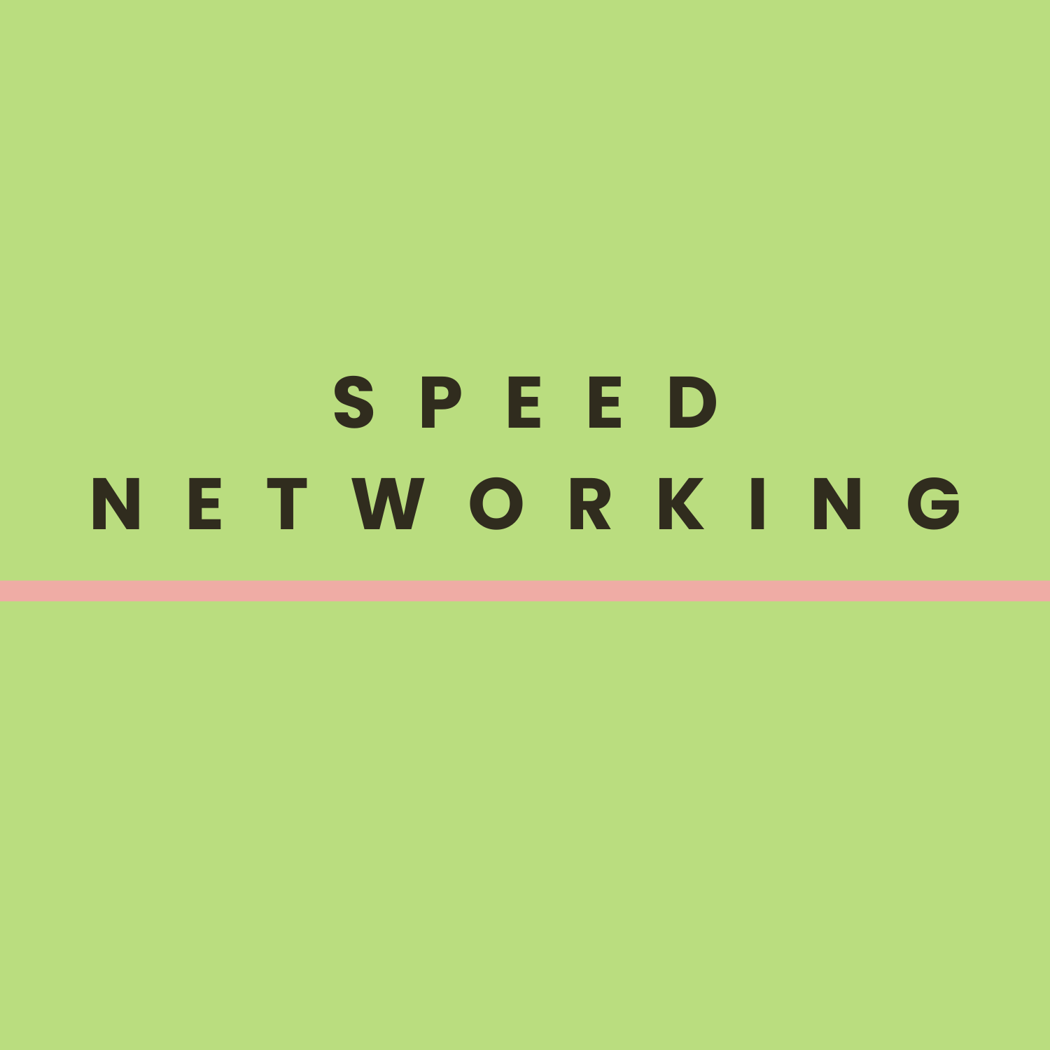 Speed networking