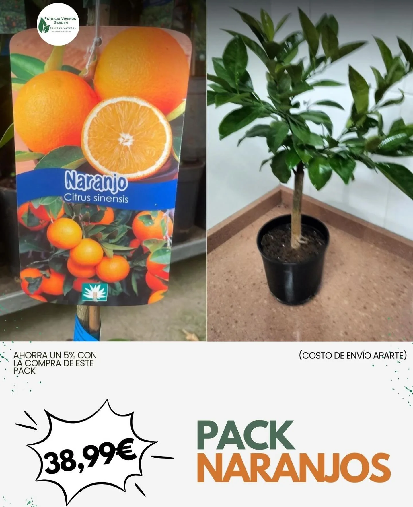 Ahorra menos, compra m&aacute;s. 🤩🪴
&iexcl;AH&Oacute;RRATE UN 5%!

Ya disponible el pack naranjos desde 38,99&euro;! 
Naranjo Navelina + Naranjo Lane Late🧡🍊

🏷️ PVP= 38,99&euro;

#pack #vivero #plantas #naranjos #bons&aacute;is #ahorro #compra #